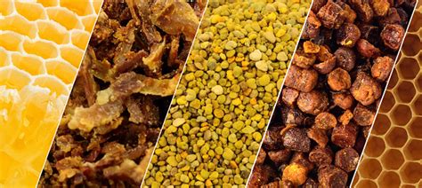 Méhészeti termékek gondos csomagolása