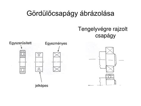 A csirke izomrendszerének egyszerűsített ábrázolása