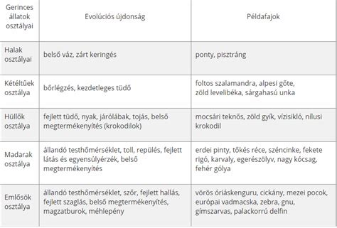 Mártások rendszerezése táblázat