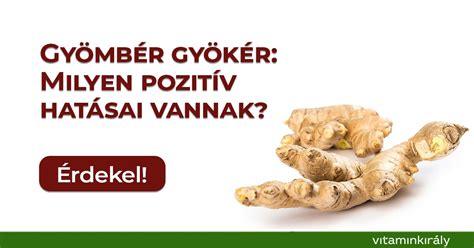 Gyömbér gyökér