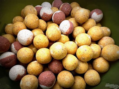 Különböző keszegfajok