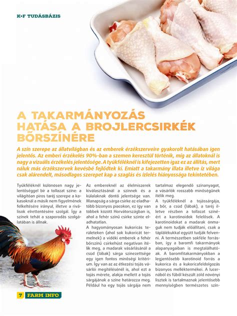Brojlercsirkék nevelése
