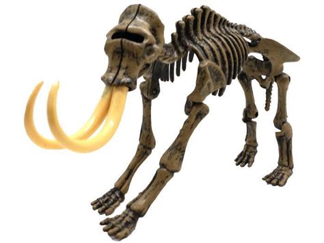Pleisztocén kori mamut csontváz rekonstrukciója