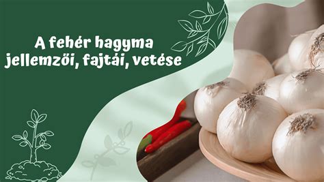 A tökéletesen lepirított hagyma szerepe a pörköltben