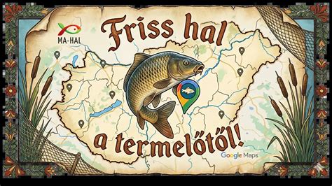 A friss hal sokkolása