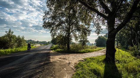 Pusztaszeri Tájvédelmi Körzet növényvilága