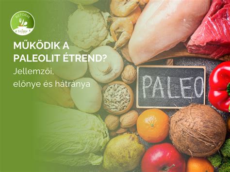 paleo desszertek előnyei infografika