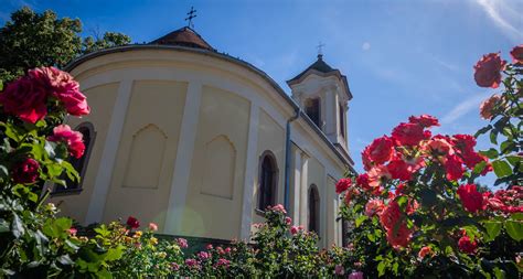 Szentendre éjszaka