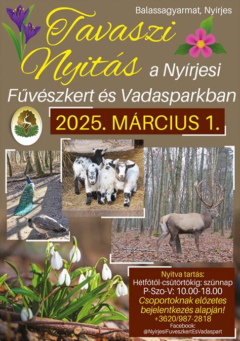 Benett-kenguruk a Nyírjesi Vadasparkban