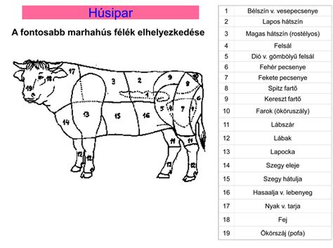 Marhahús bontása és előkészítése