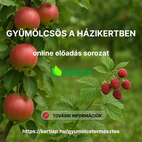 Bio gyümölcstermesztés jellegzetességei