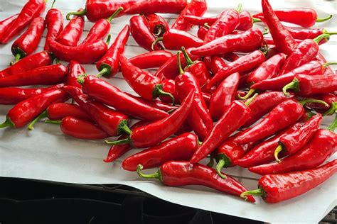 Magyar paprika mező