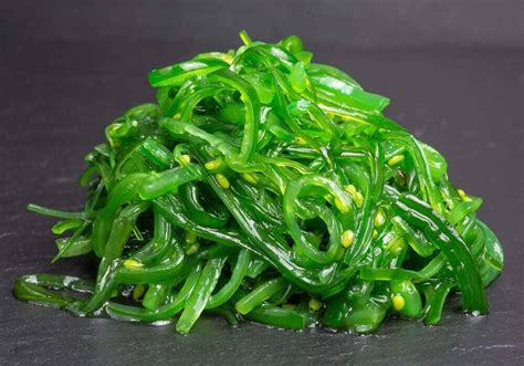 Wakame alga bemutatása és eredete