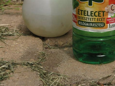 ecet alkalmazása a kertben
