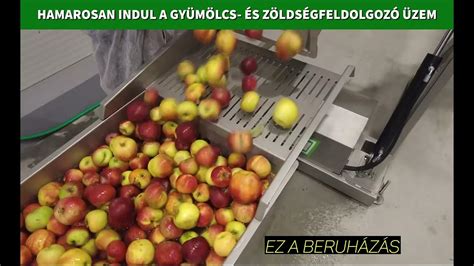 Zöldség-gyümölcs szárító üzem