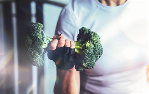 paleo életmódot támogató elemek infografikája: alvás, sport, táplálkozás