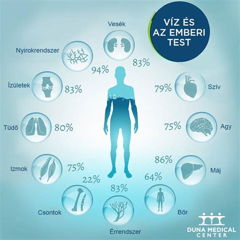 Az emberi test víztartalma