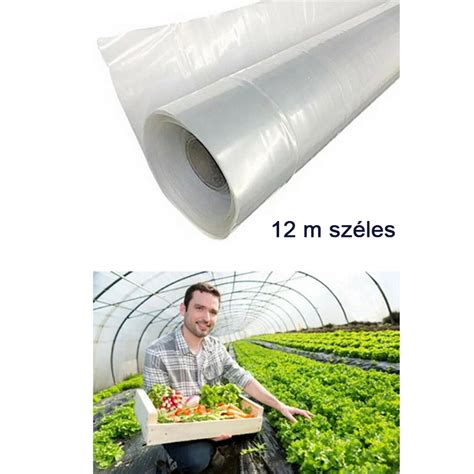 mezőgazdasági fólia alkalmazása eper termesztésnél