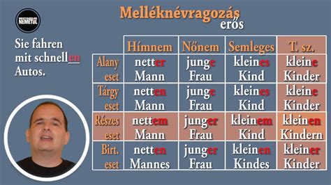 Német-magyar szószedet mintája