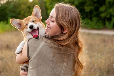 Kutya és ember barátsága az évszázadok során