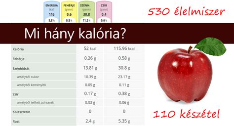 Tápanyagtáblázat és kalória-egyenleg infografika