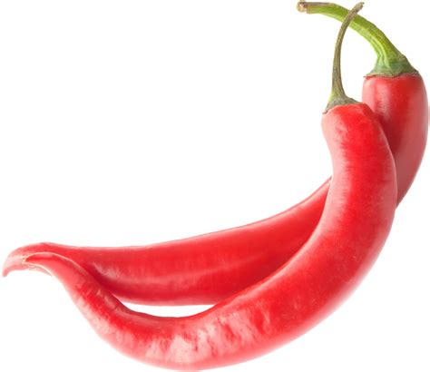 Csípős paprika termése a növényen