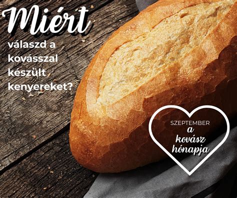 A fermentációs folyamat fázisai
