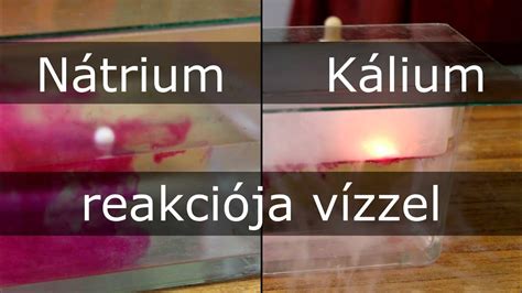 A só kémiai szerkezete és a nátrium-kálium pumpa