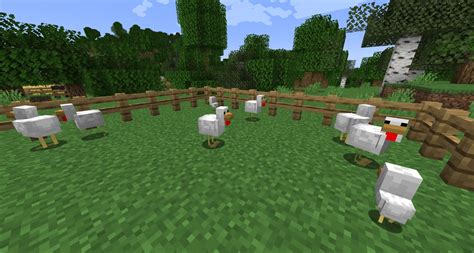 Minecraft csirkék egy ketrecben