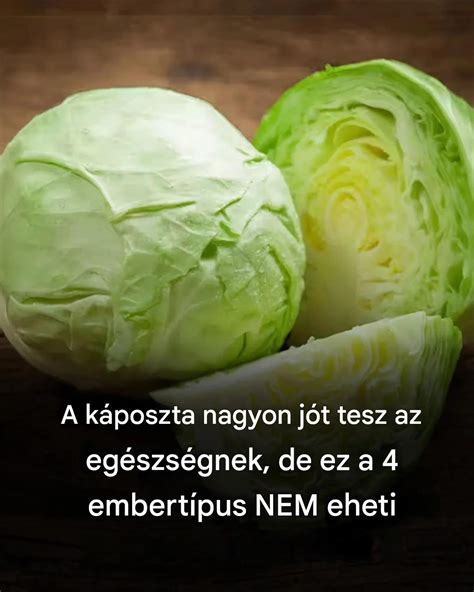 Különböző káposztaételek