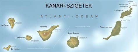 Kanári-szigetek tájképe vulkanikus szőlőültetvényekkel