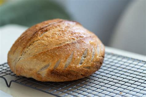 Freshly baked gluten-free sourdough bread on a cooling rack
