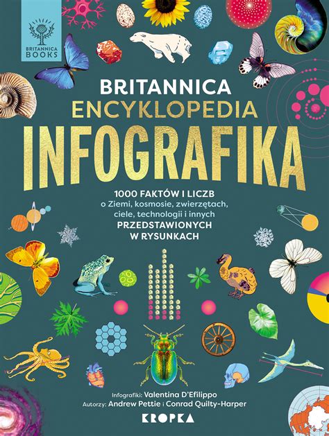 Pálinkakészítés lépései infografika