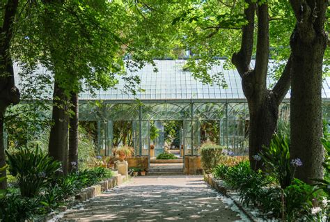 Orto Botanico Palermo