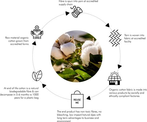 organic cotton production lifecycle