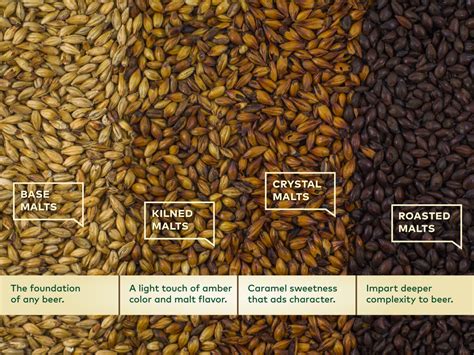 Different types of brewing malts and hops