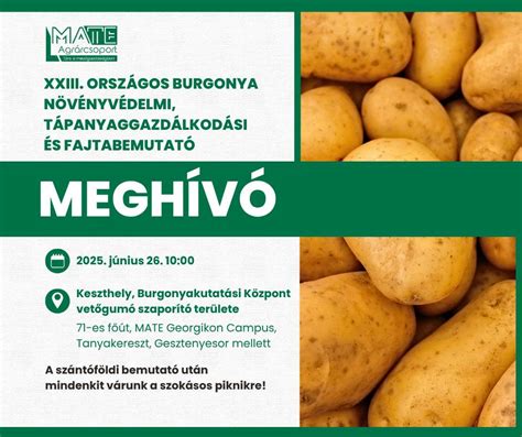 A burgonya sokoldalúságát bemutató infografika