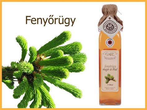 Üveg fenyőrügy szörp