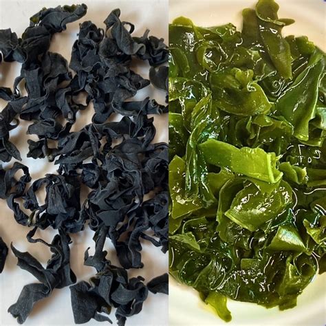 Wakame és Nori alga