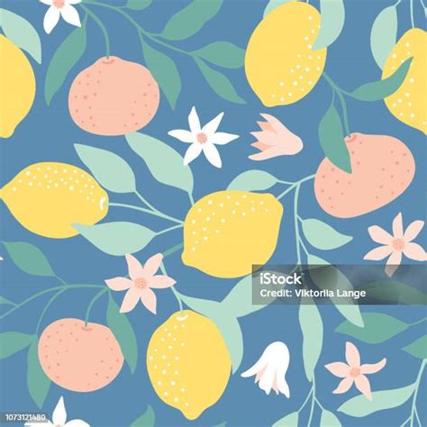 Illusztráció citrusfélékkel és hidratált kézzel
