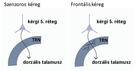 Sematikus ábra a headless böngészők azonosításáról