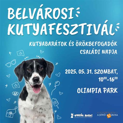 Kutyafesztivál