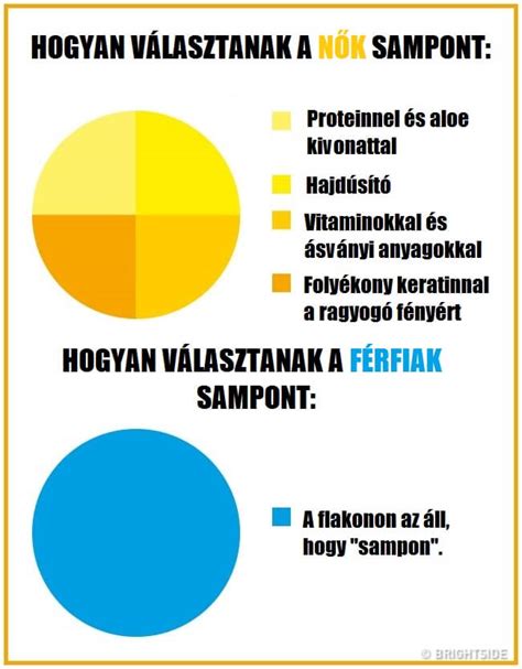 Infografika a haszonbérlet és részesművelés közötti különbségekről