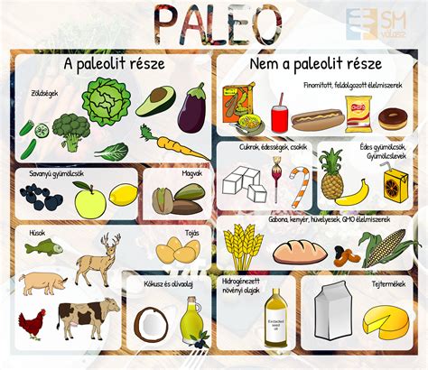 A paleolit étrend alapelveit bemutató infografika