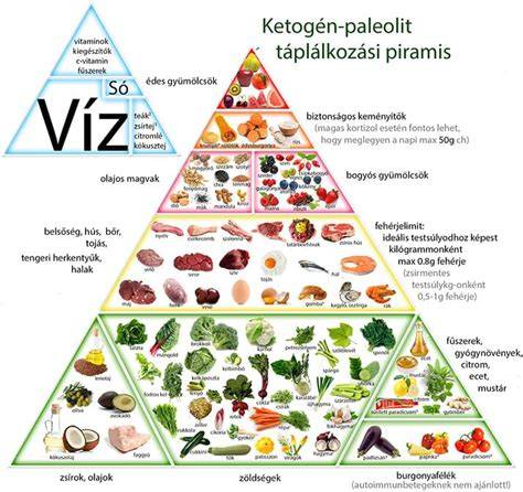 A paleolit étrendben megengedett és tiltott élelmiszerek diagramja