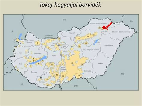 Térkép Tokaj-hegyaljai borvidék dűlőivel