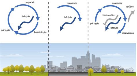 Zöldített városi környezetben lévő modern épület