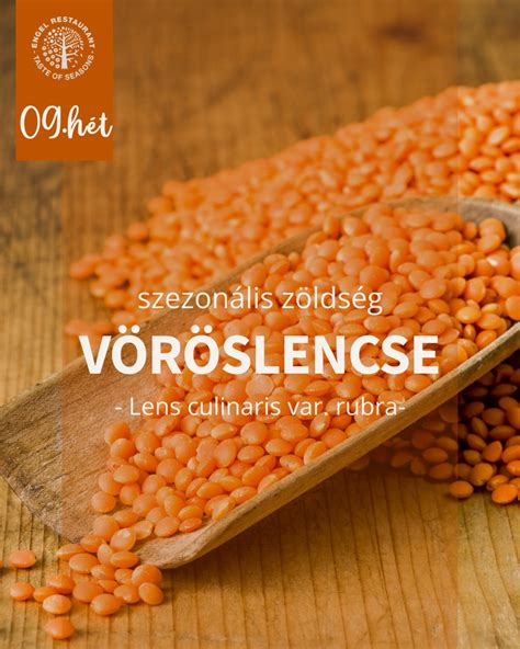 Vöröslencse főzés közben