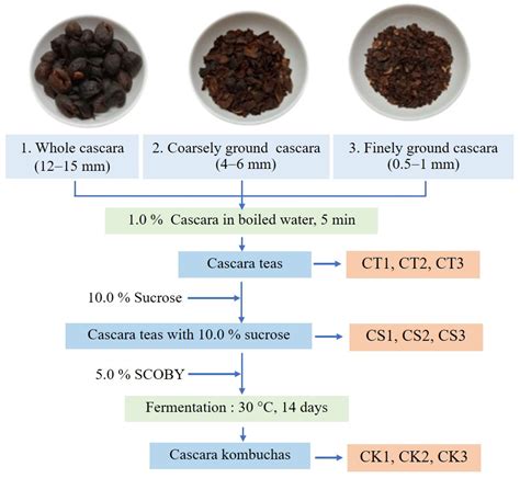 kávé kombucha vagy cascara kombucha