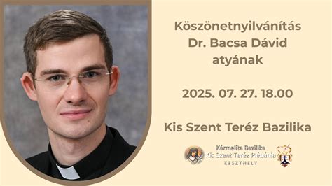 Dolecskó Teréz portréja
